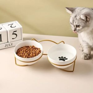 Elegant Pet Feeder